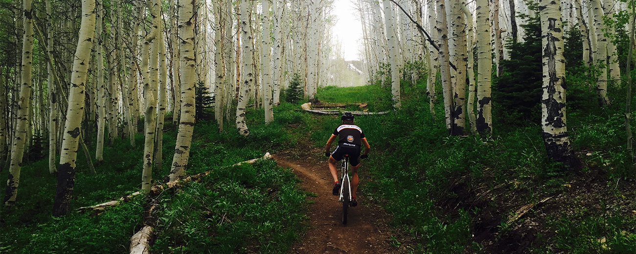 Mountain Biker going up switch-back trial 