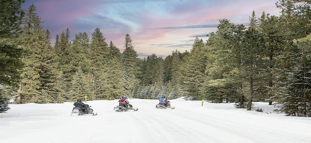 Snowmobile Group of Snowmobiles going across trail in Aspen, Colorado