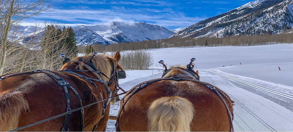 Pine Creek Cookhouse Sleigh Rides in Aspen, Colorado